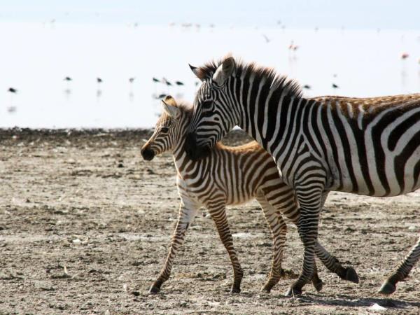 East Africa overland tour