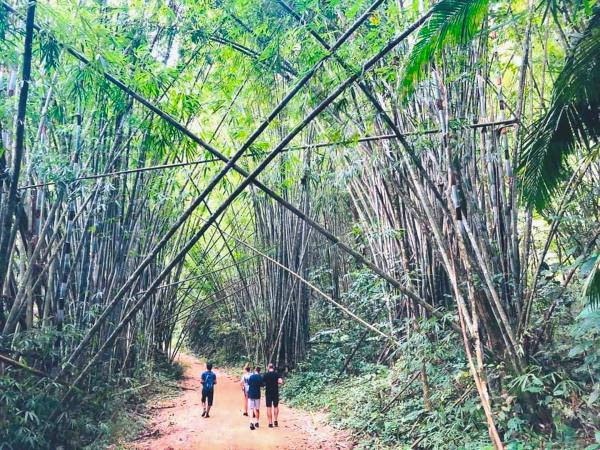 Thailand tailor made holiday, elephants, jungle & beach