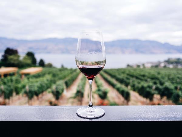 Greece wine tasting cruise
