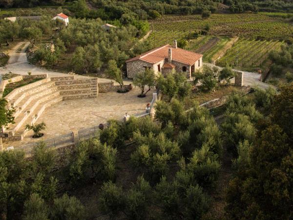 Greece wine tasting cruise
