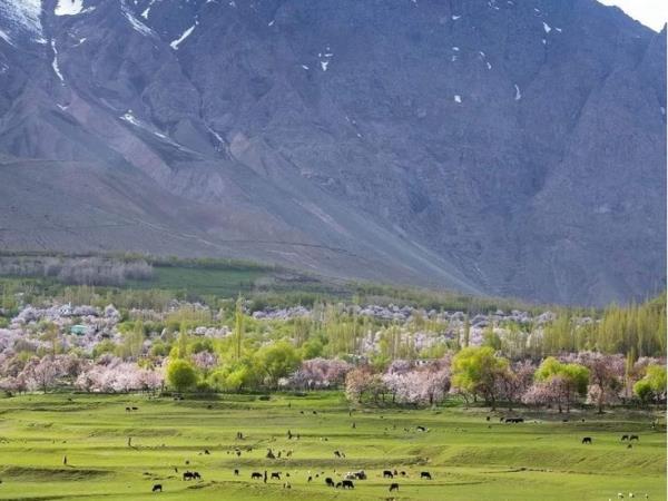 Skardu Karakoram holiday, Pakistan