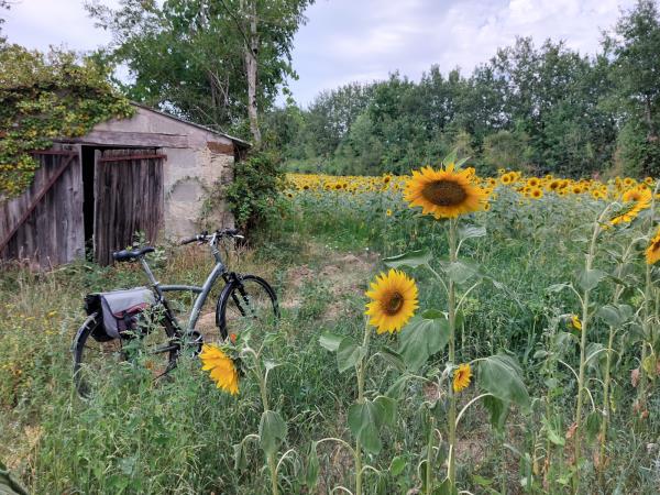 Vegetarian holidays in France