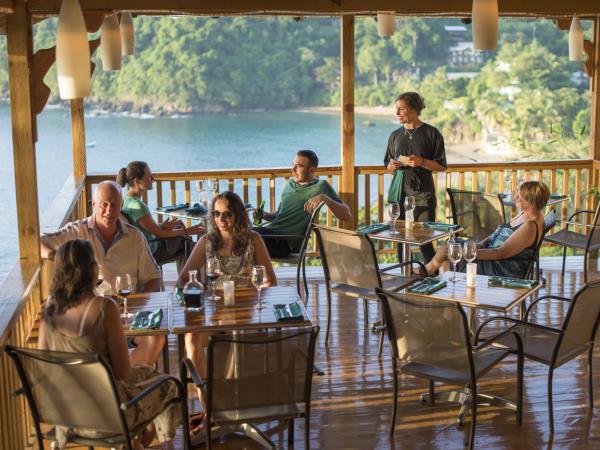 Bird watching holiday in Tobago
