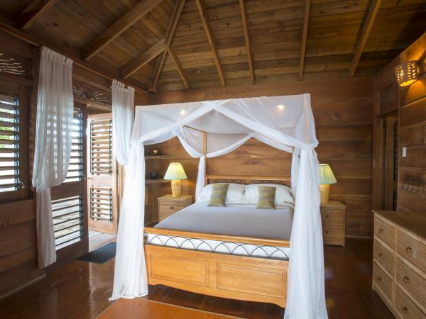 Bird watching holiday in Tobago