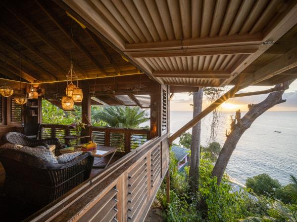 Bird watching holiday in Tobago