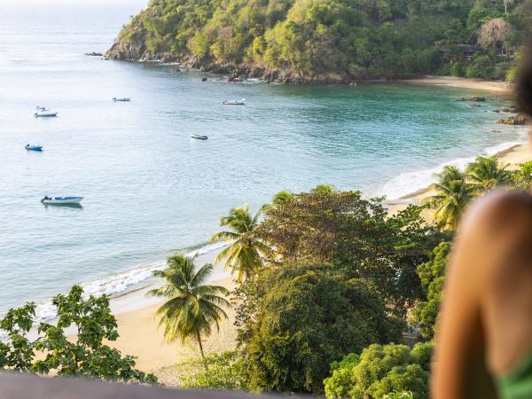 Bird watching holiday in Tobago