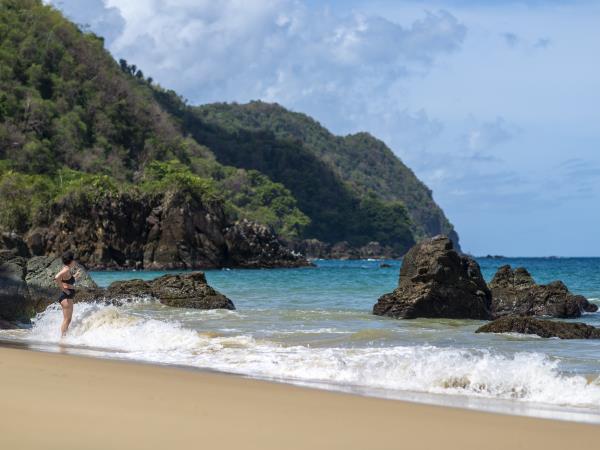 Bird watching holiday in Tobago
