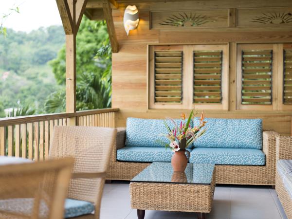 Bird watching holiday in Tobago