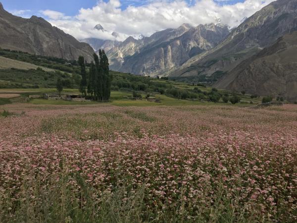K2 Basecamp & Concordia trek in Pakistan