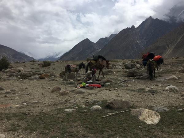K2 Basecamp & Concordia trek in Pakistan
