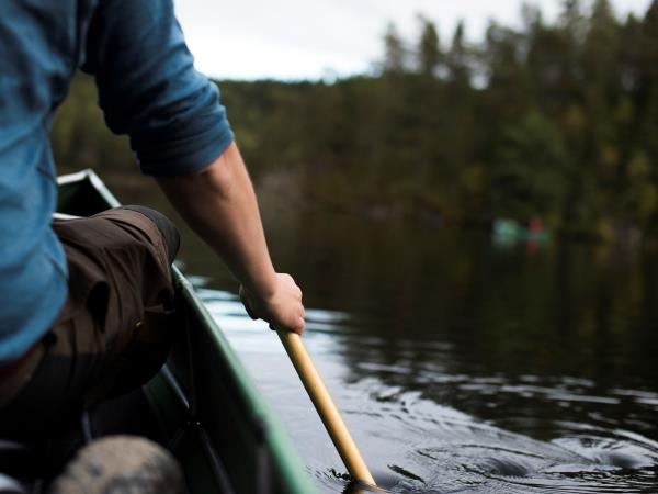 Autumnal foraging holiday in Sweden
