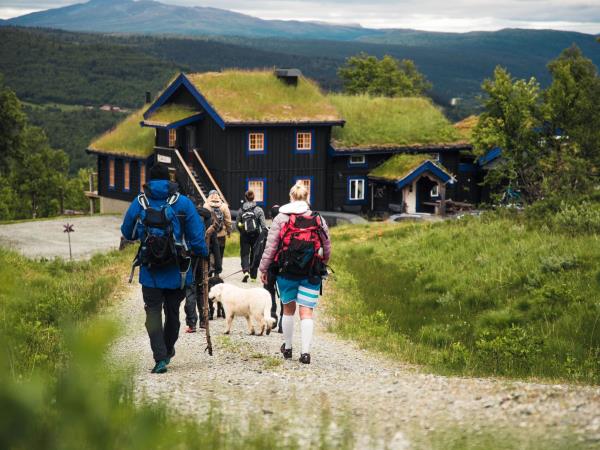 Autumnal foraging holiday in Sweden