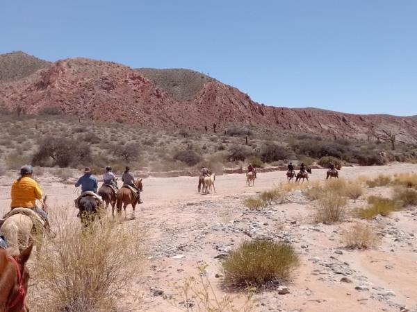 Argentina horse riding holiday, Lerma Valley to Calchaqui Valley