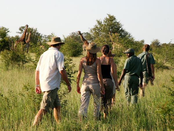 South Africa & Vic Falls active safari holiday