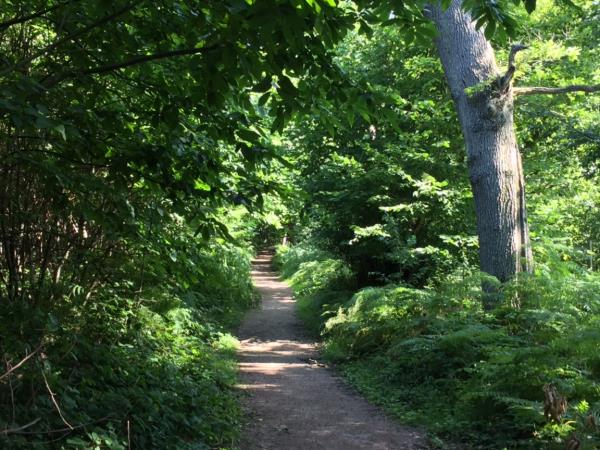 The North Downs Way walking holiday
