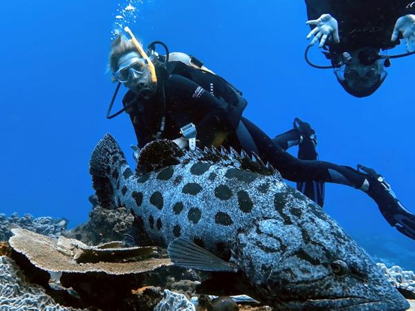 South Africa multi activity holiday