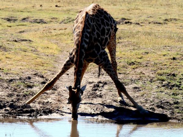 Tanzania cultural safari holiday