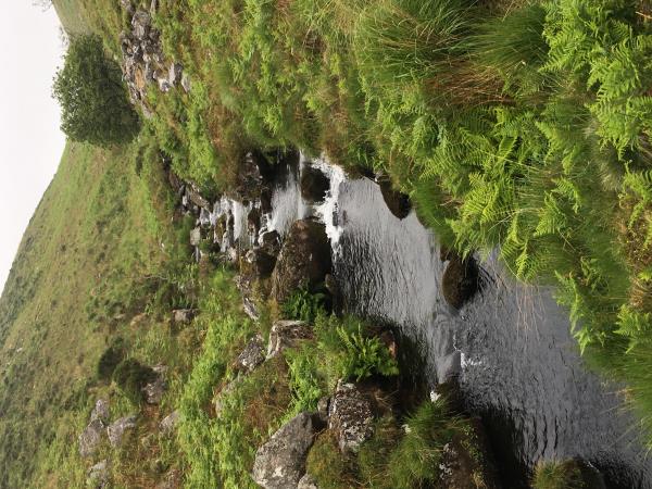 Dartmoor & Exmoor walking holiday, England