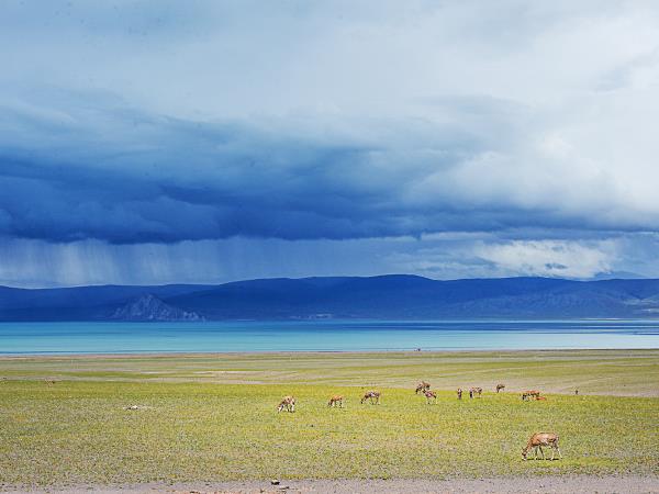 21 days Tibet 4WD in depth tour