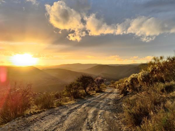 Self guided walking holiday in the Douro valley
