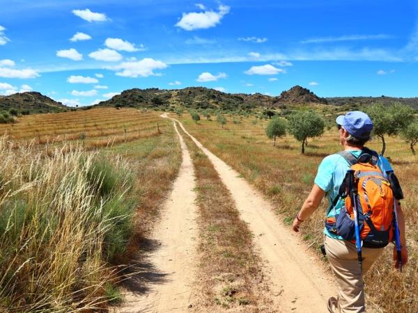 Self guided walking holiday in the Douro valley