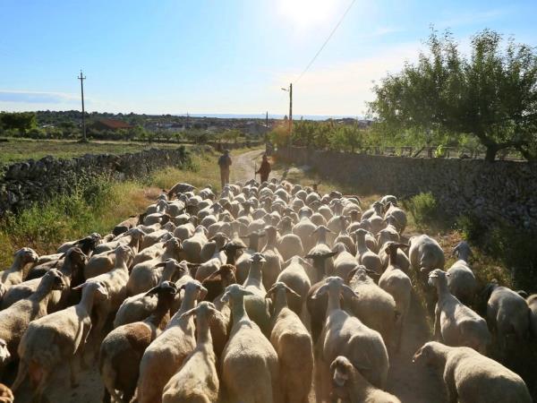 Self guided walking holiday in the Douro valley