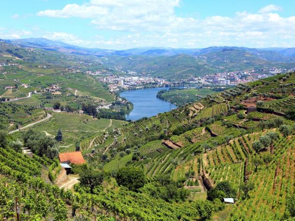 The Douro walking tour in Portugal