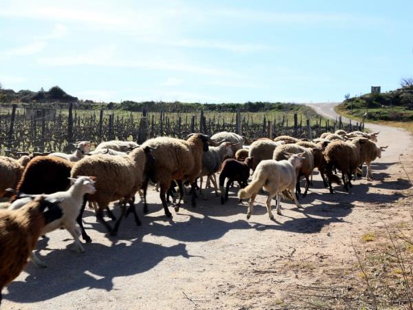 The Douro walking tour in Portugal