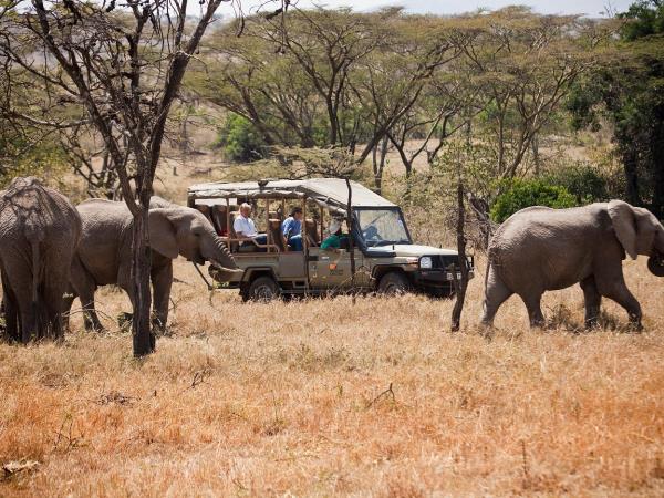 9 day safari in Kenya