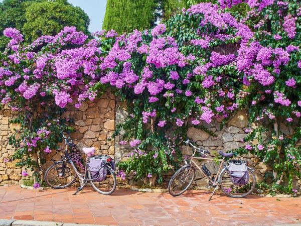 Catalonia self guided cycling holiday, Spain