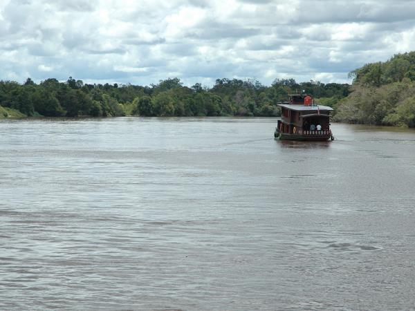 Orangutan expedition in Central Borneo