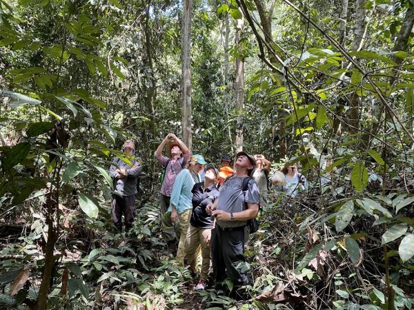 Orangutan expedition in Central Borneo