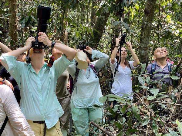 Tanjung Puting orangutan holiday in Borneo