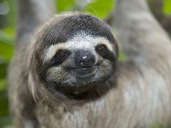 Costa Rica adventure holiday, wildlife & activities