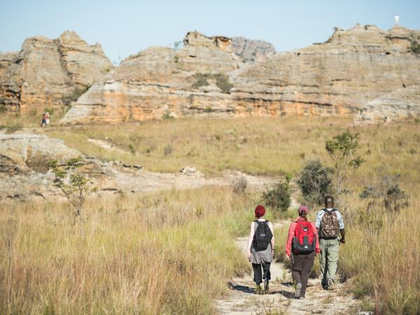 Madagascar birds and wildlife holiday