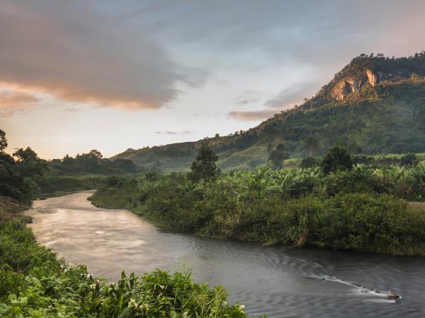 Madagascar birds and wildlife holiday