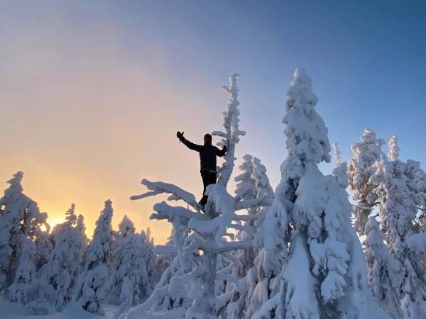 New Year in Sweden holiday | Responsible Travel
