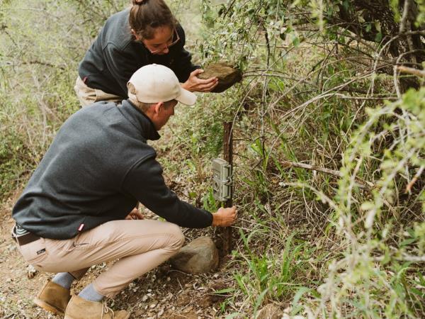 Endangered wildlife conservation in South Africa