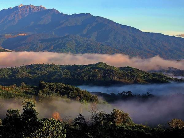 Borneo holiday, Land below the wind