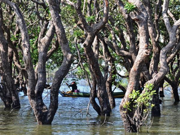 Cambodia holiday, beyond Angkor