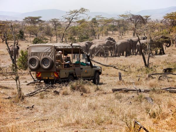 Kenya safari and Diani beach holiday