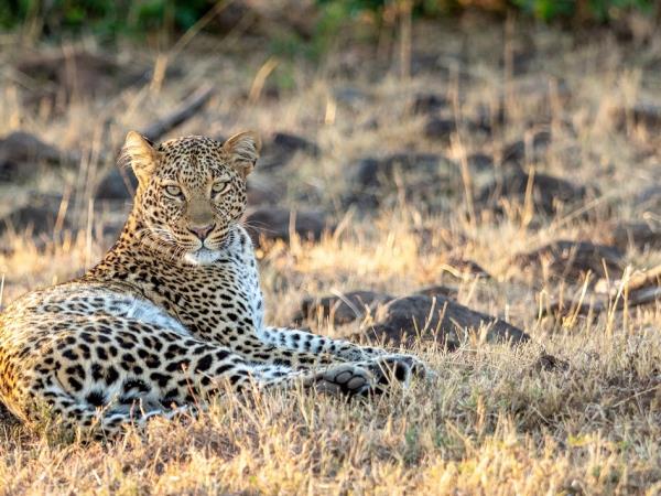 Kenya safari and Diani beach holiday
