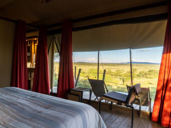 Wildebeest migration safari in Kenya