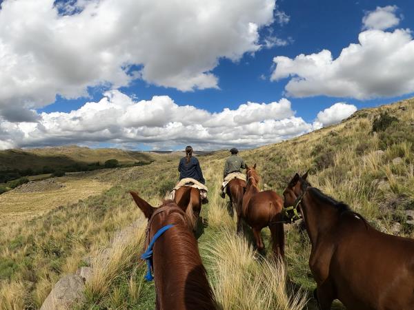 Horse riding holiday in Argentina