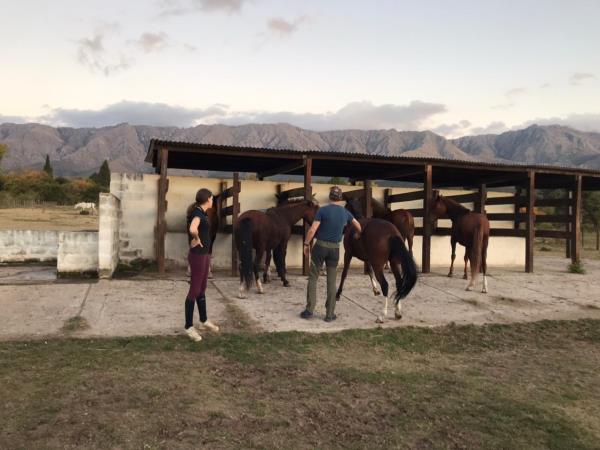 Horse riding holiday in Argentina
