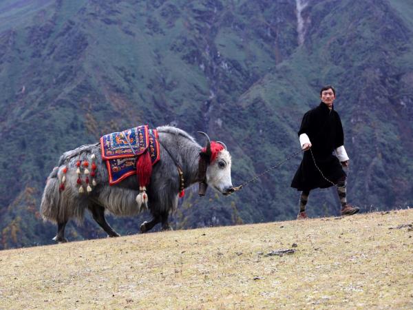 Bhutan luxury holiday, 8 days