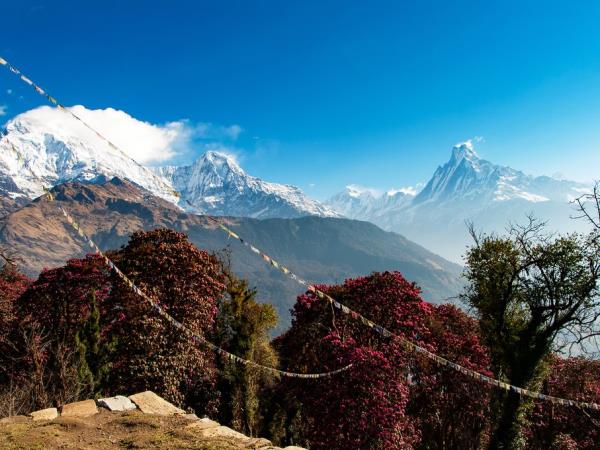 Ghorepani Poon Hill trek in Nepal