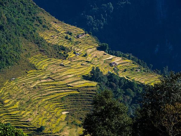 Manaslu circuit trekking holiday in Nepal