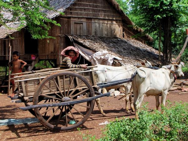 South Laos holiday, Mekong adventure