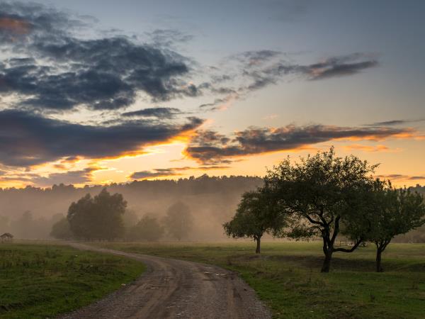 Discover Transylvania holiday